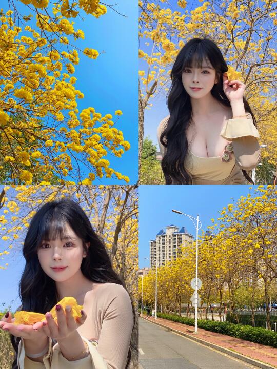 惠州！！！属于春天的限定浪漫📷💛