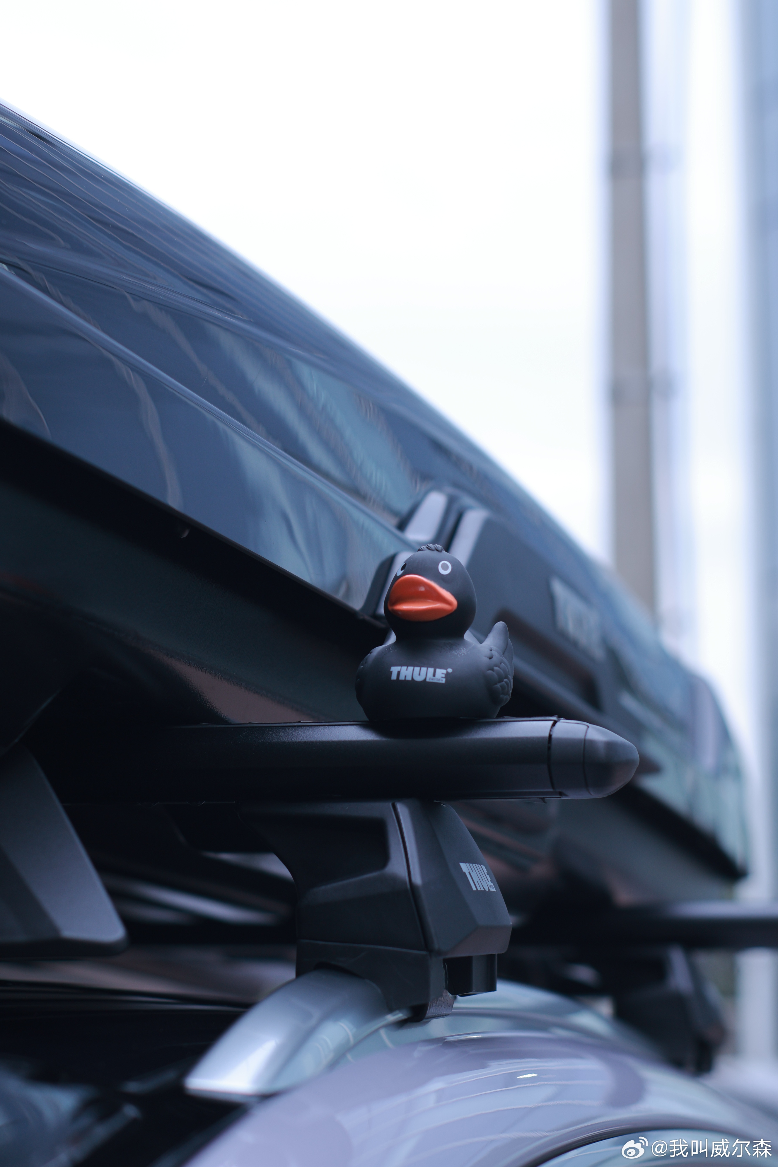 我给我的 ET5T 拍毕业照了旅行车该有的样子全有了，行李架、行李箱和自行车架旅