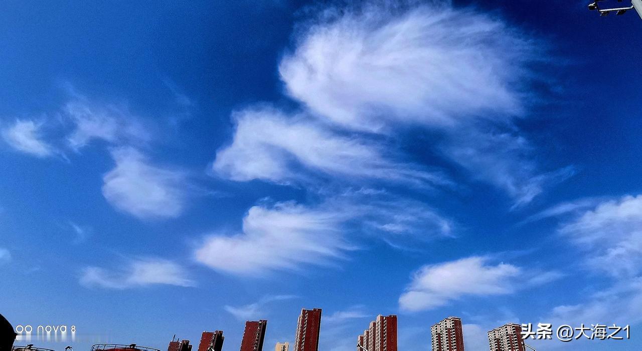 #可以分享一张你拍的天空美照吗#
天空呈现怪脸奇云☁️（原创）