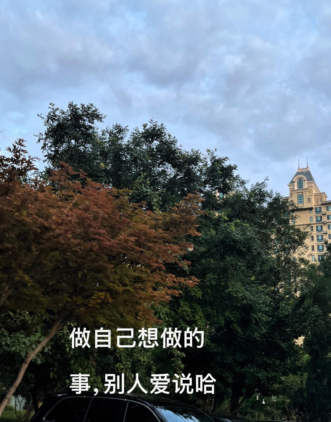 有人问我，你天天发作品能有多少收入，还不如找个工作收入高呢。
我说；跟别人无法比