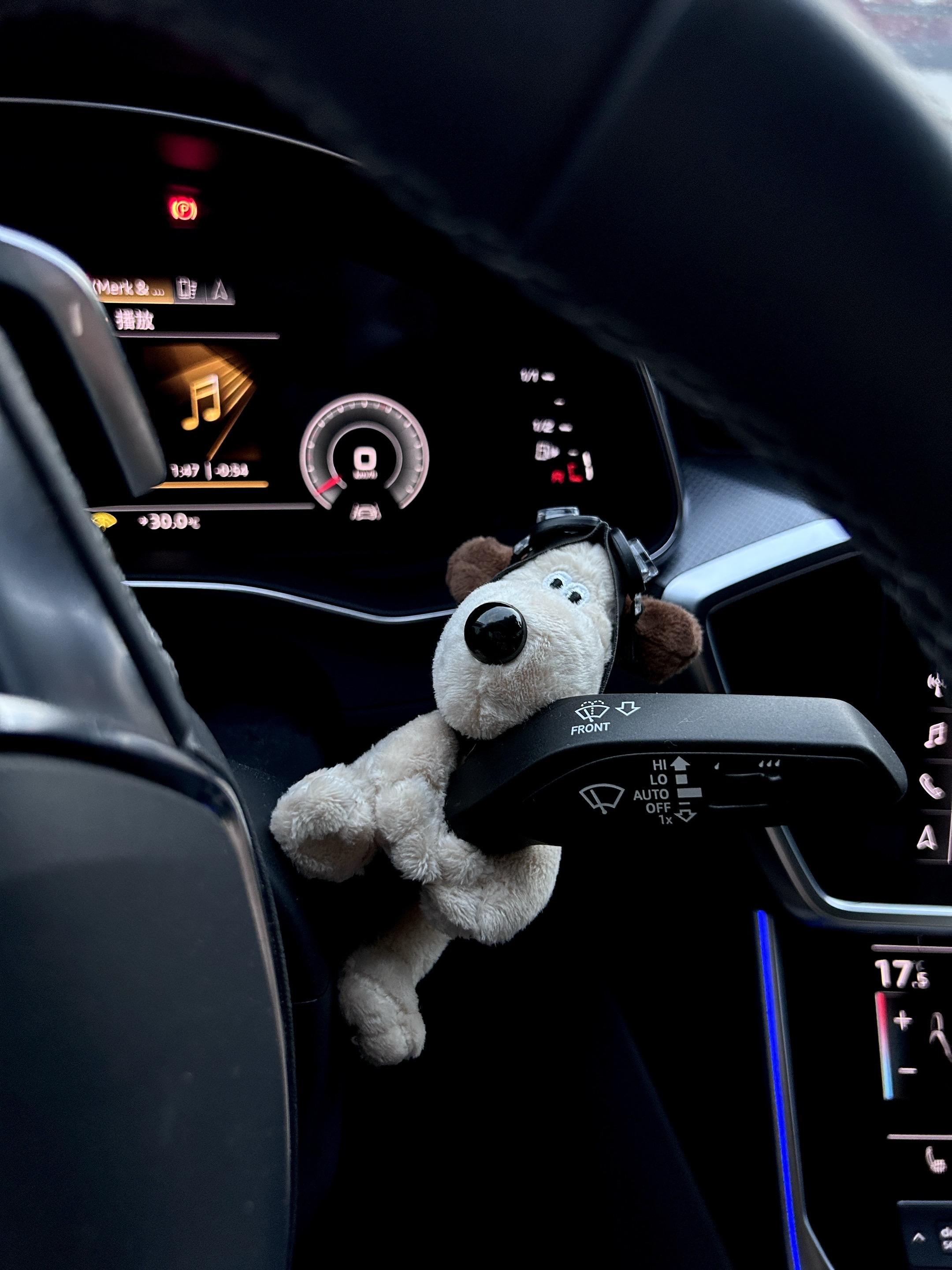 宝子～好可爱的小狗，放在车上真好看