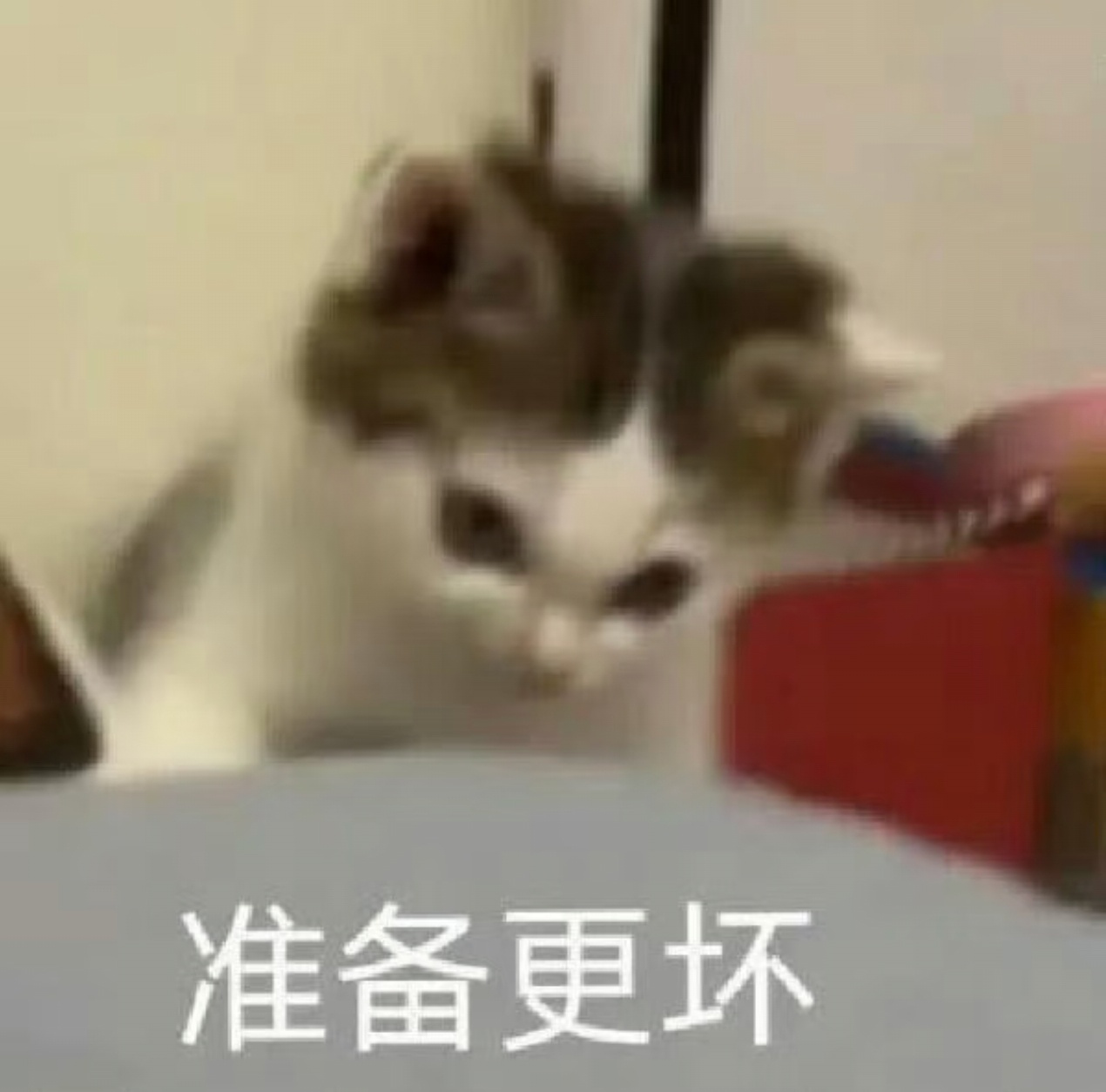 你们就不能给我分享点4i相关知识点么！！都快七夕了，你们不助力我反攻，我如何能翻