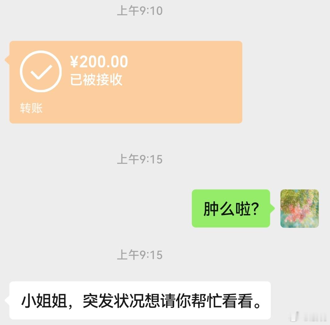 地支三个巳的癸水美女友子，每次来找我的时候，我都在开车这是需要我补上第四个轮胎吗