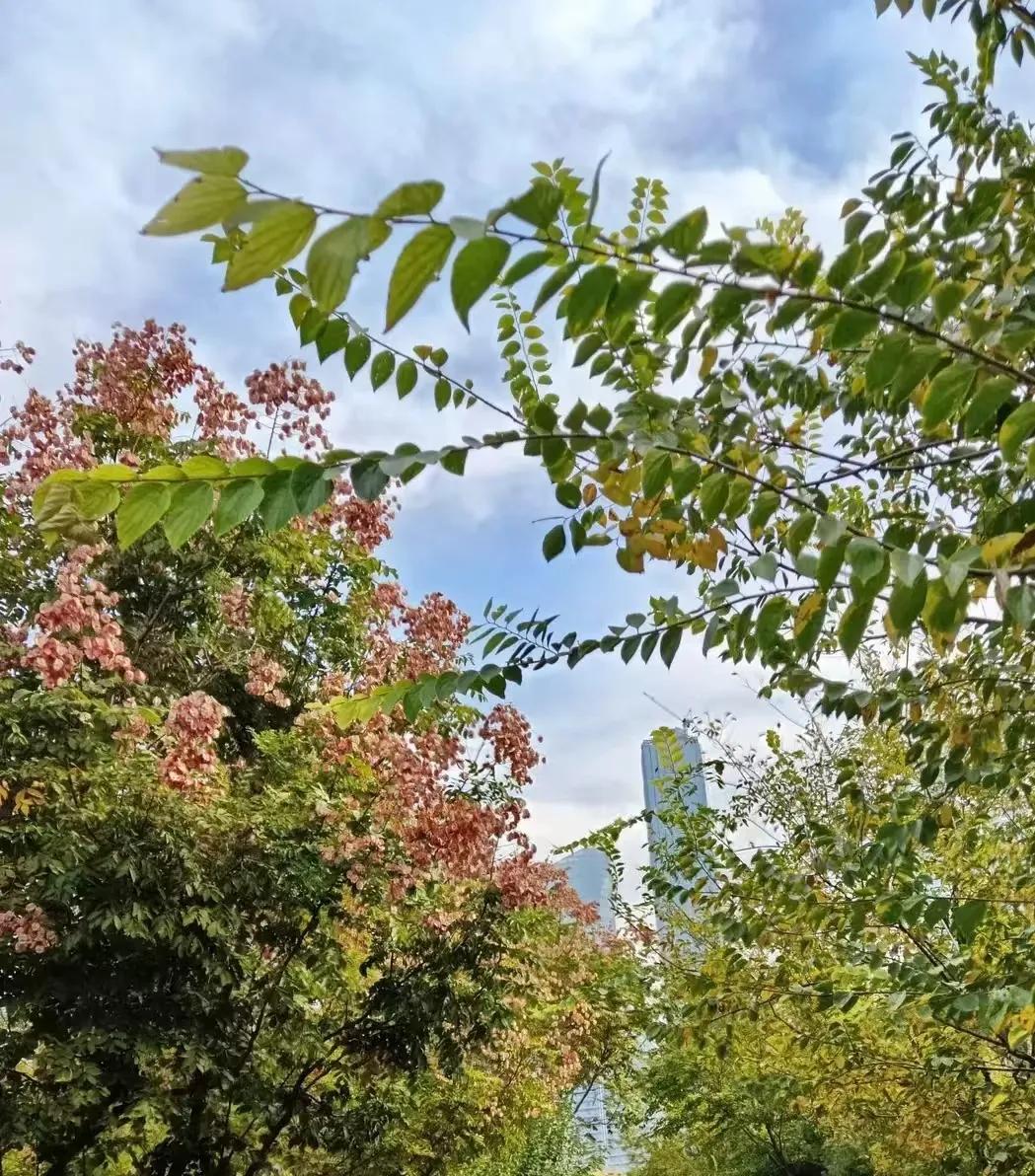 在社会交往中，拥有可靠的关系网络远比金钱更加重要。

金钱或许可以解决问题，但并