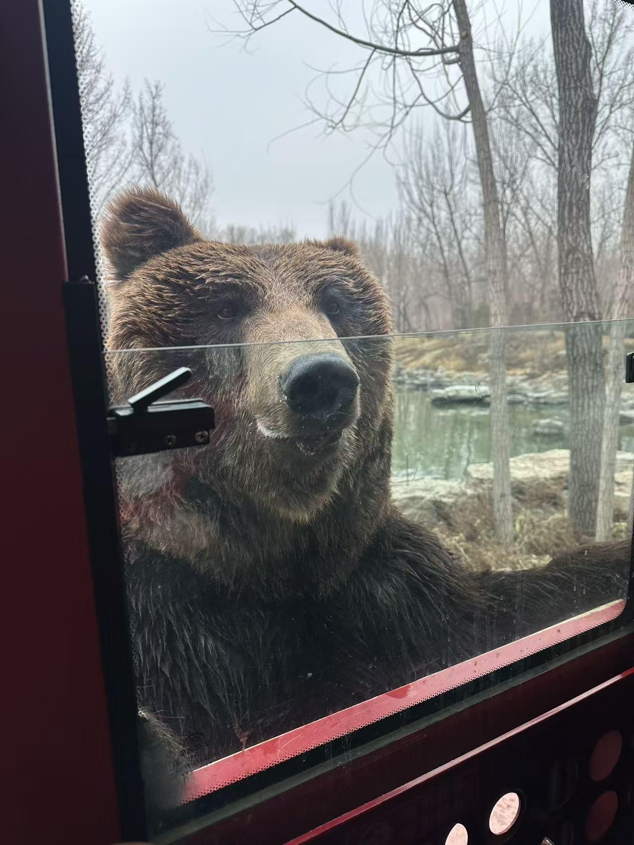 蚌埠住了，有点恐怖谷效应[笑哭][笑哭]