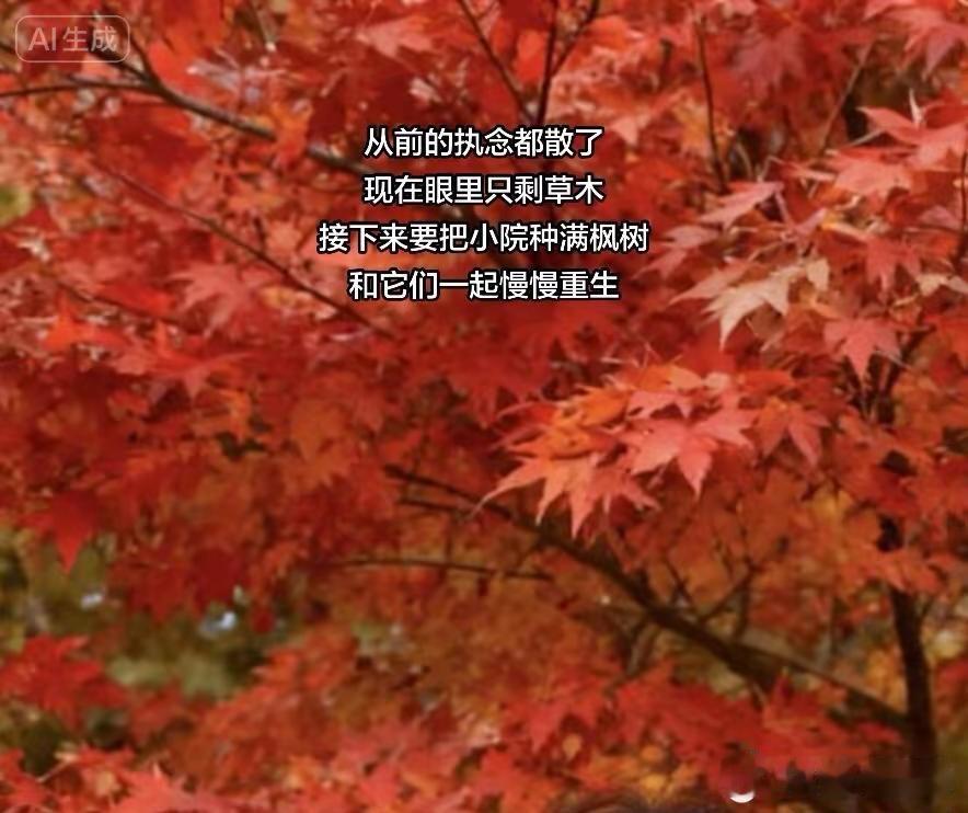 除了接受和坚持是别无选择的，痛啦说出来也没人能为你承受，跌倒了爬起来继续走，不是