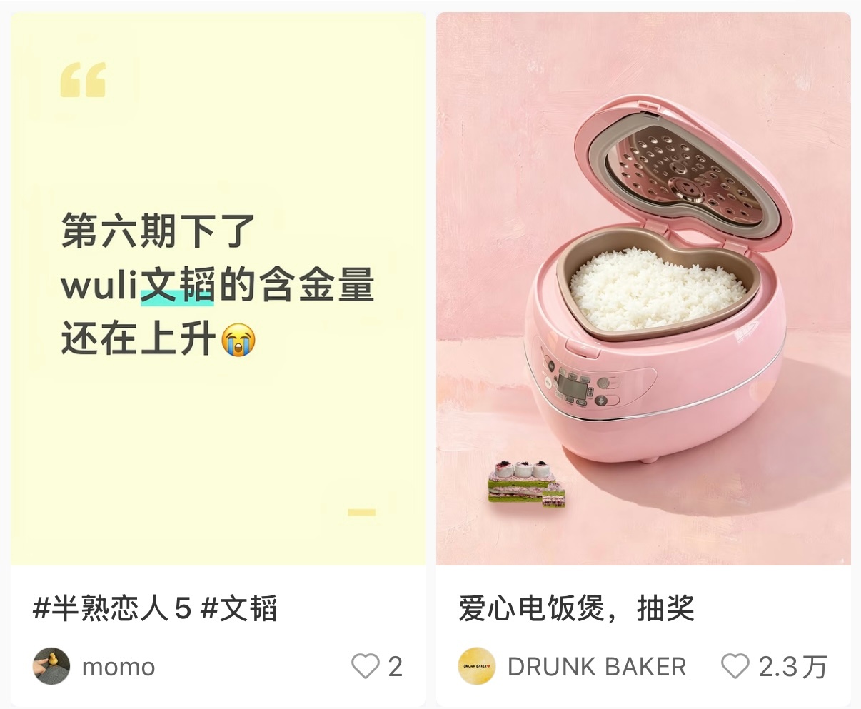 最近老刷到其他综艺的文韬