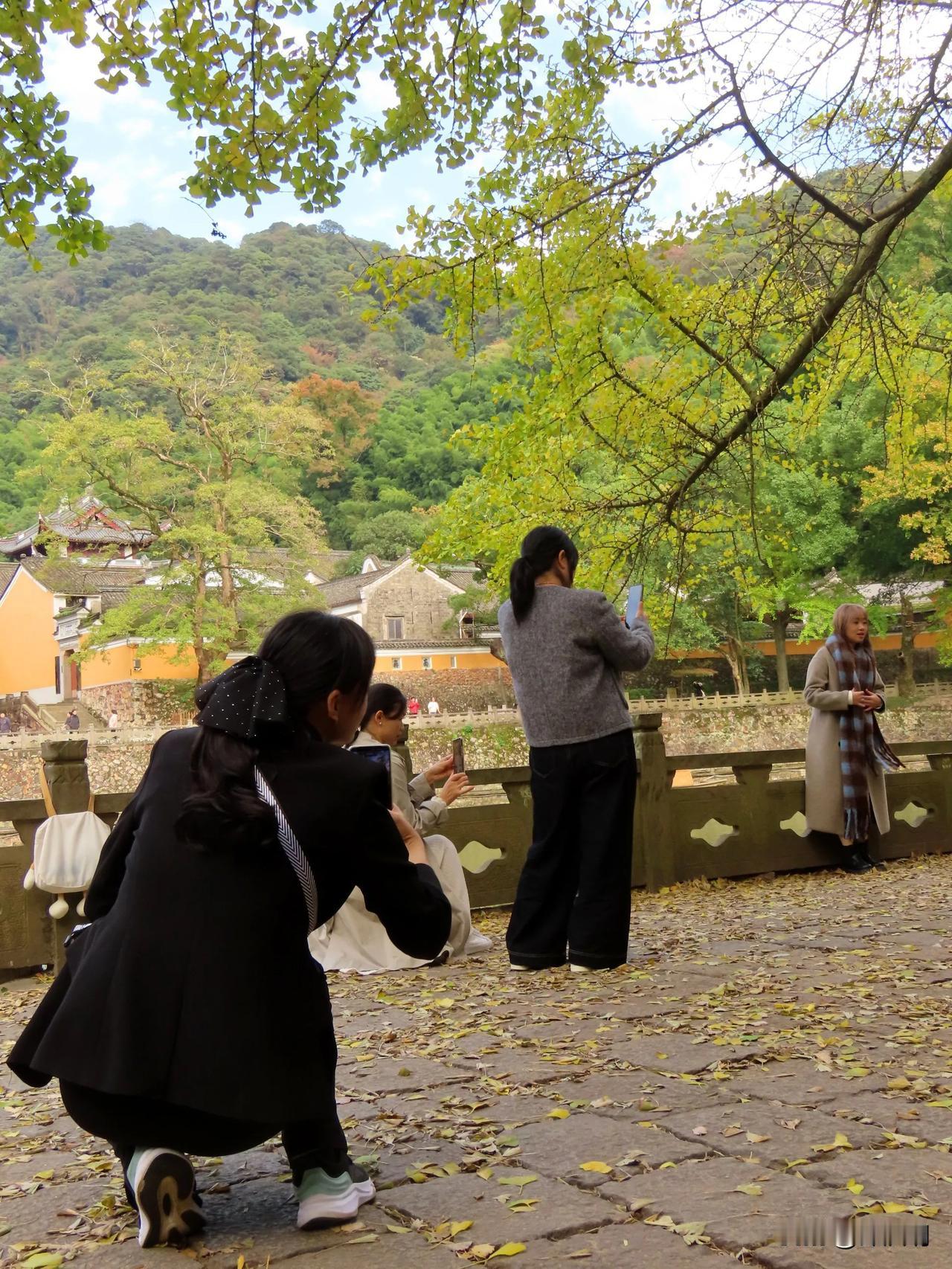 秋意浓浓，打卡天童寺，美不胜收！🍂📸