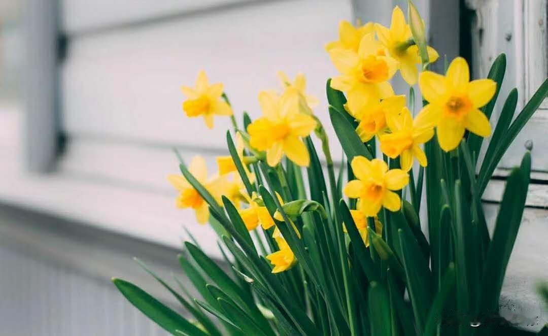 给人一个微笑，让世间充满美好；给人一把伞，心中便是晴天；给人雪中送炭，心中倍感温