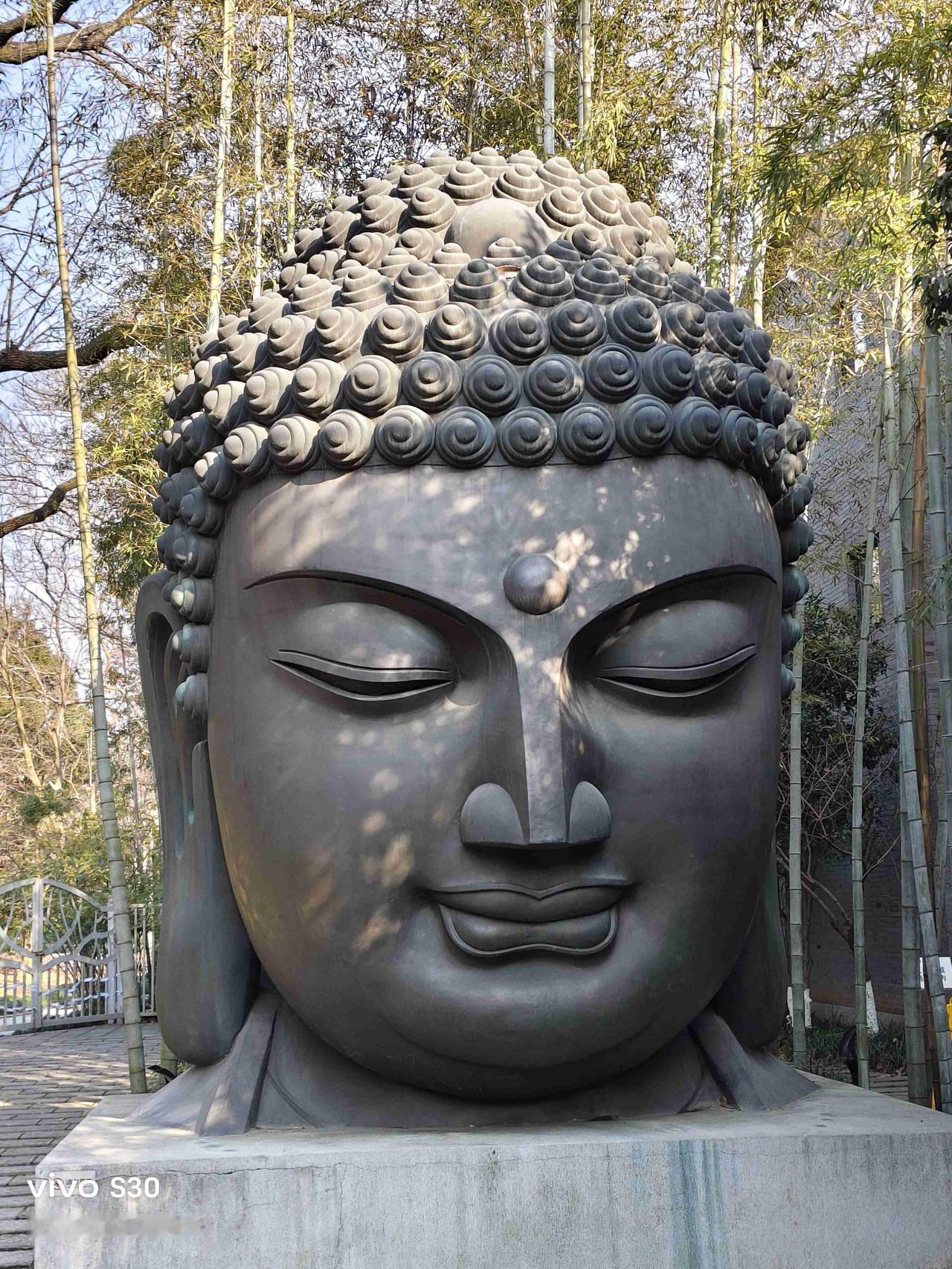 我的今日状态：😁轻松愉快
我这里的天气：☀️晴天今天也很幸福的