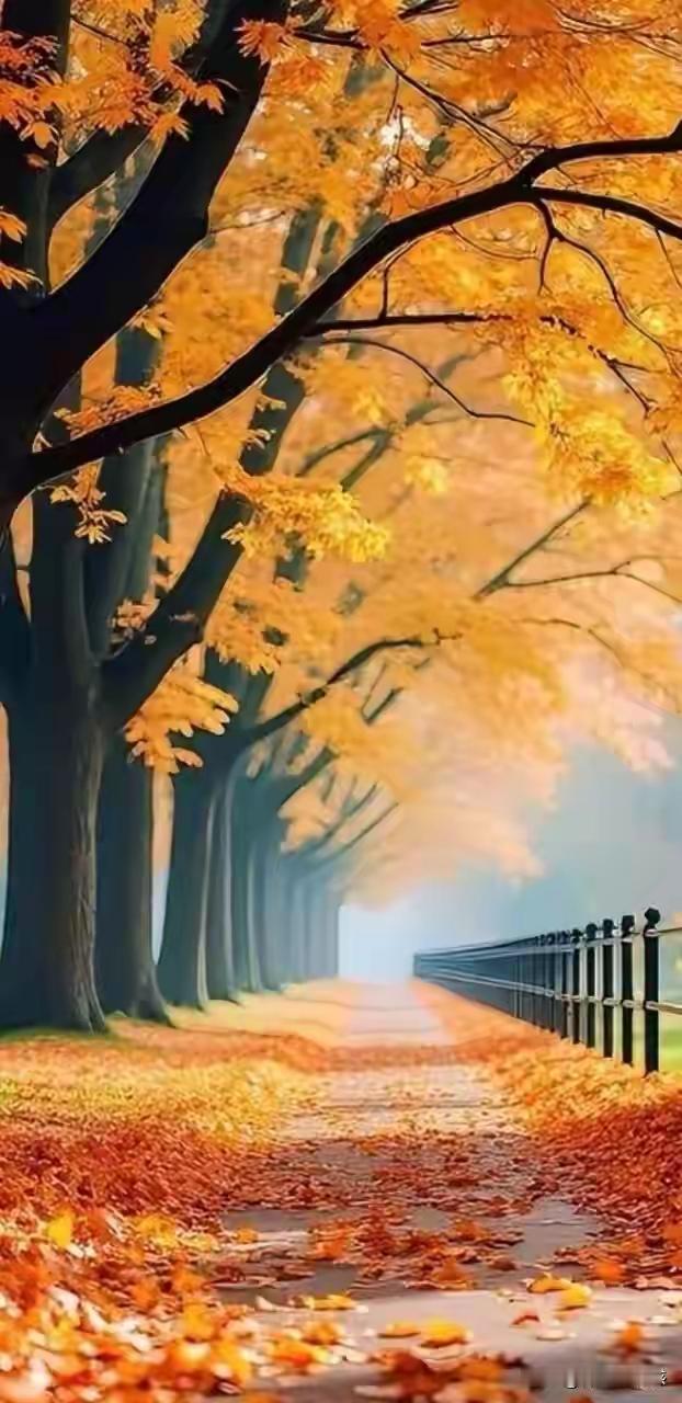 人生如逆旅，我亦是行人。有人说，健康是人生最宝贵的财富，却常被我们视作理所当然。