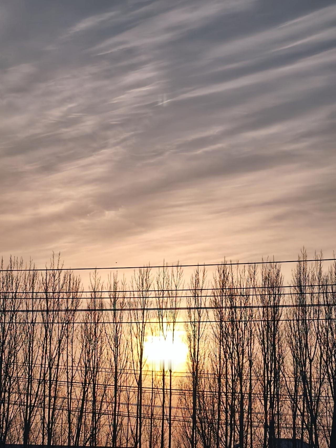 冬   至
 
阴极阳生昼时长，
葭灰微动律初黄。
寒云压水渔舟晚，
冻雪封山客