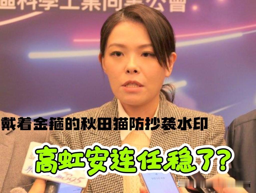 绿当局又一场败仗！
高虹安迎来最大喜讯，岛内相关法新规正式生效，蓝绿白多名“立委