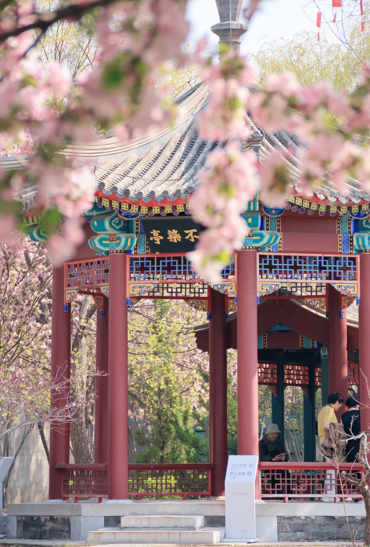 心归宁静处，自有满格能量✨每个人都会有能量被悄然掏空的时刻，身心俱疲，思绪沉滞，