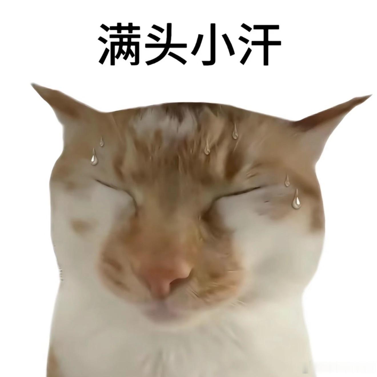 昨晚上写完小说凌晨一点了，我躺下本来想看会电子书，但是困得实在是看不下去了，直接