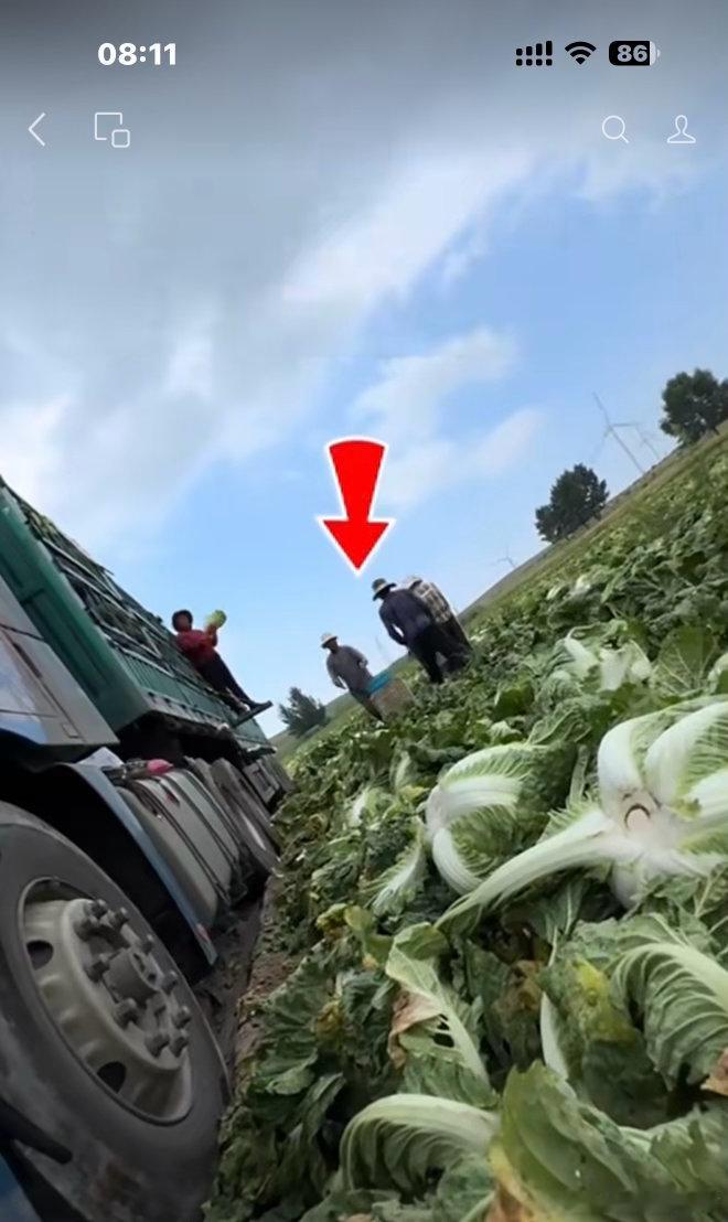 农事石评（348）没有人愿意为品质付费，劣质产品就自然大行其道；没有人愿意为生产