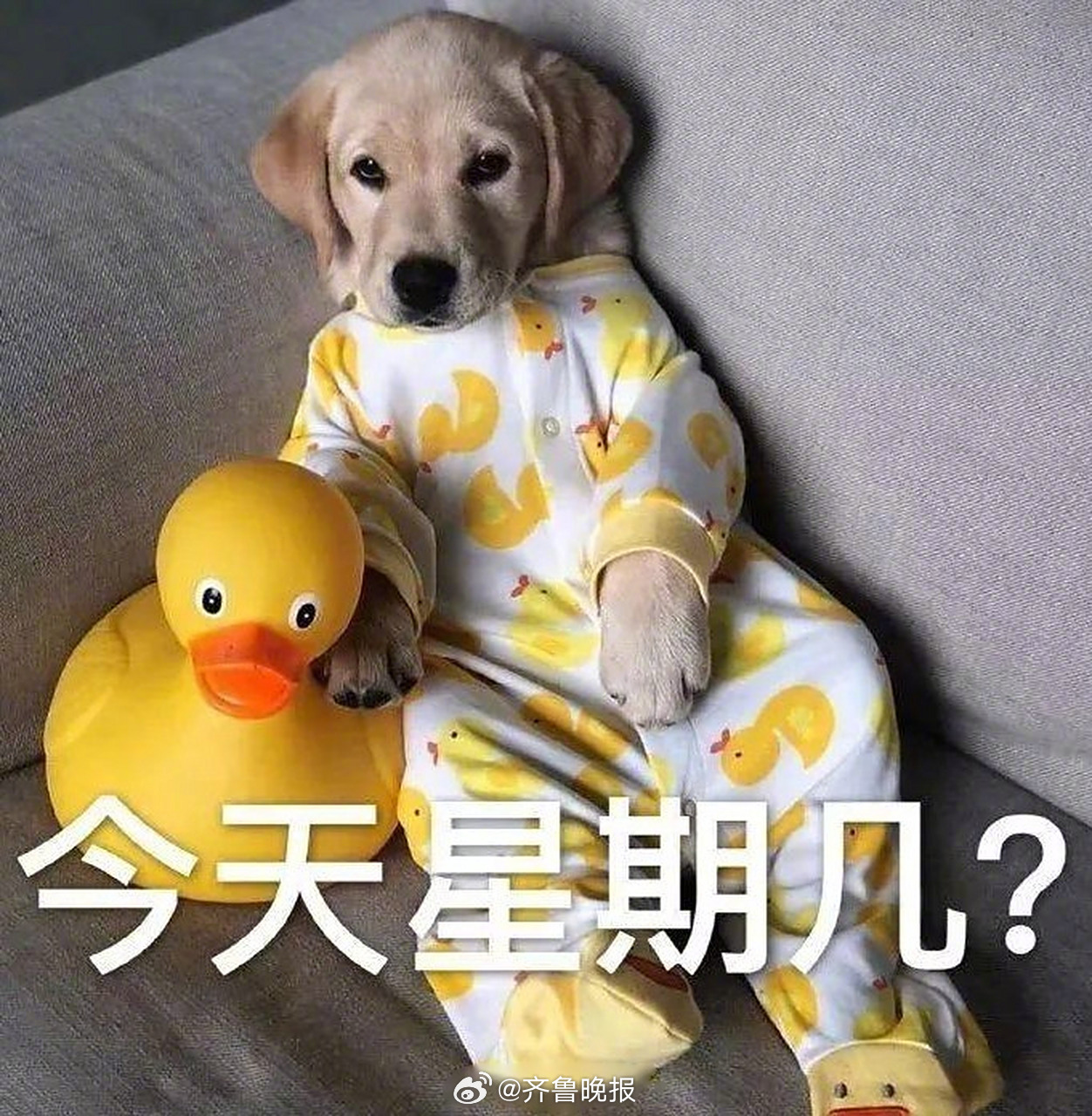 #早安# 不看手机不查电脑，你觉得今天是星期几？#国庆假期第三天# ​​​