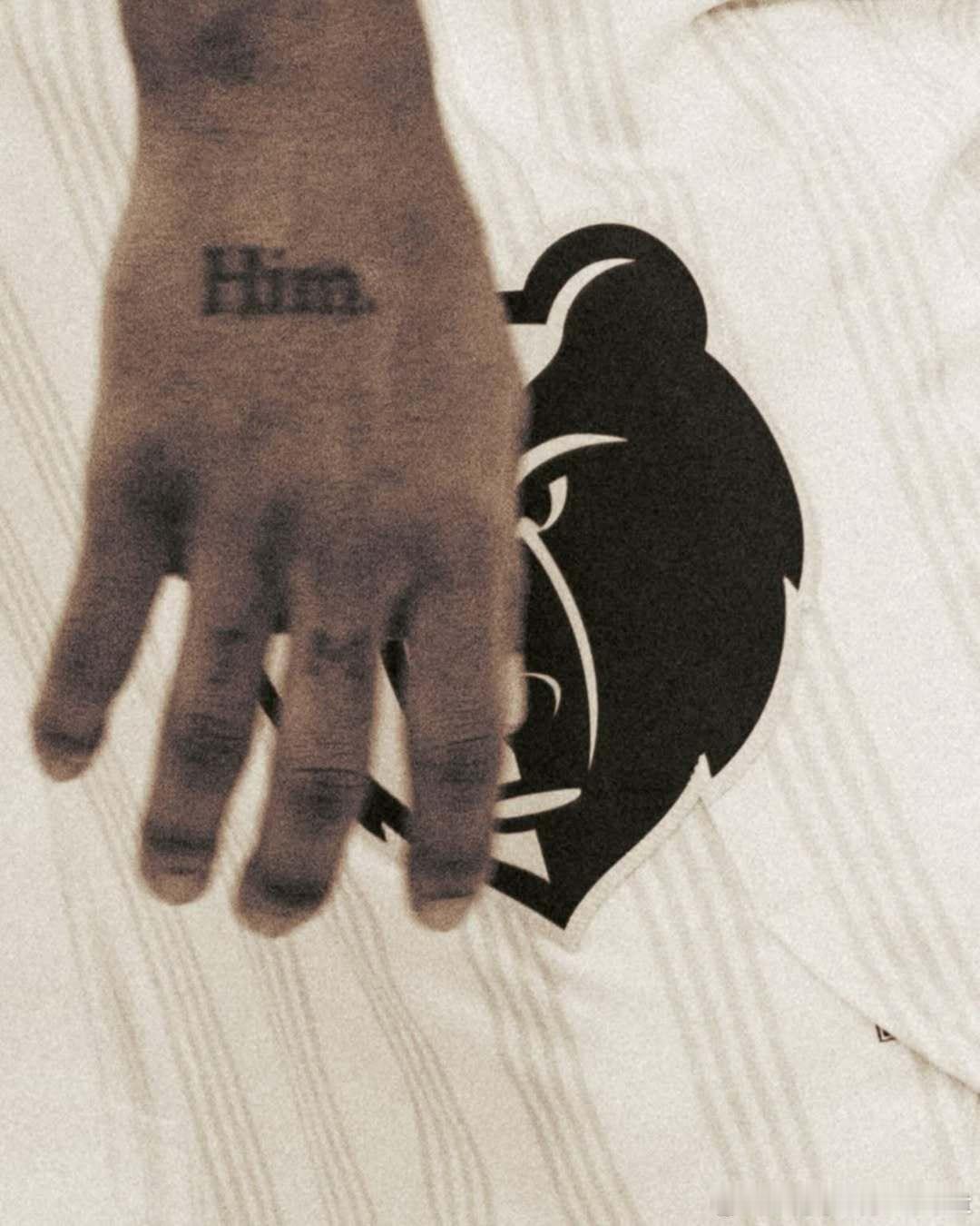 莫兰特昨日高清图集。