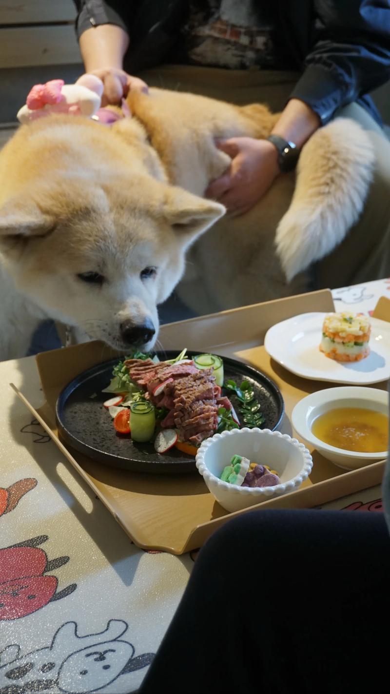 狗模人样！饭店岂可让狗上桌就餐
近日，安徽马鞍山一饭店宠物狗上桌就餐的消息经媒体