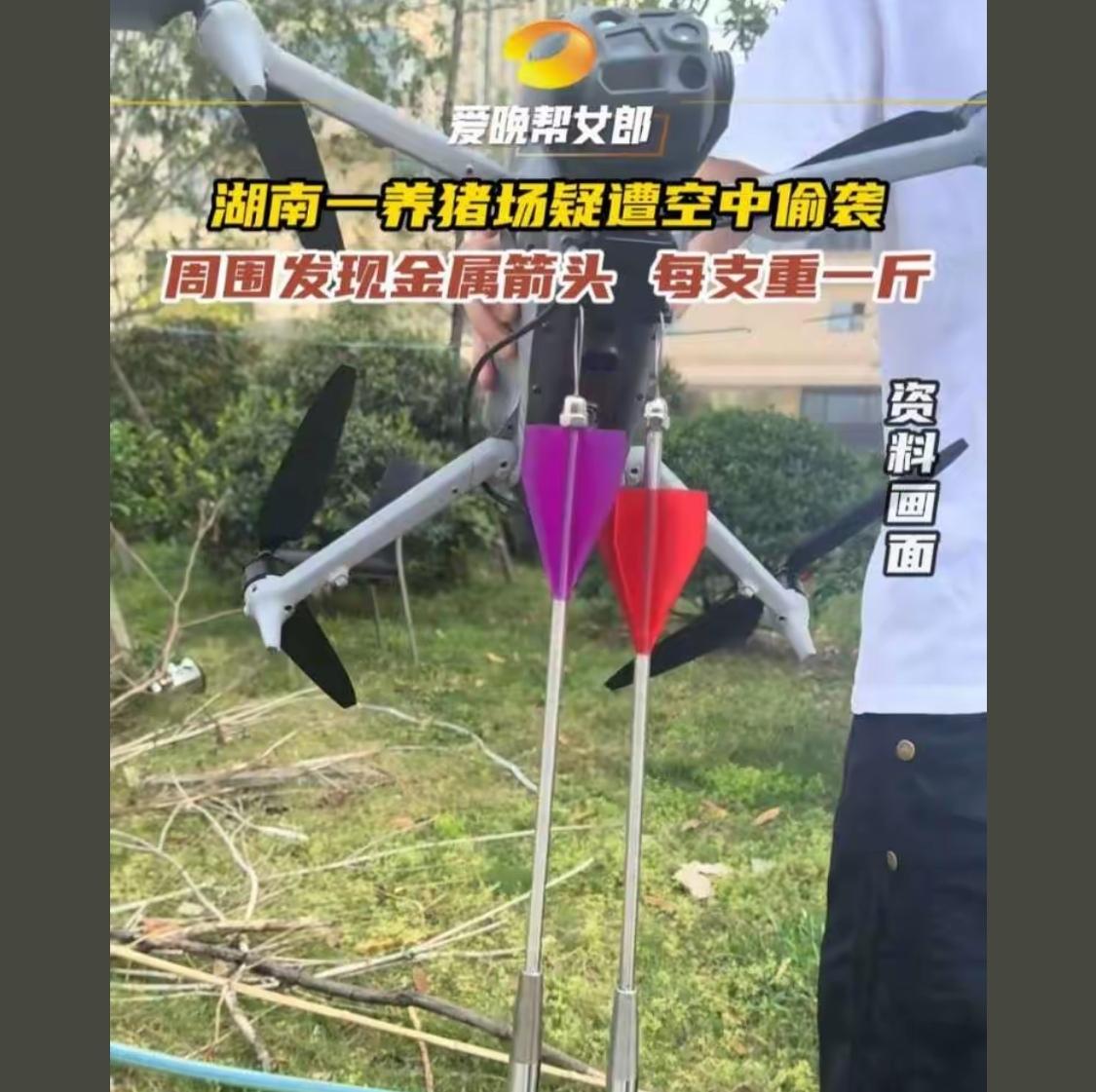 让我想起了一件真人真事，好多年的事了，有一个小偷，偷了熟人家的小猪，十多头猪，后