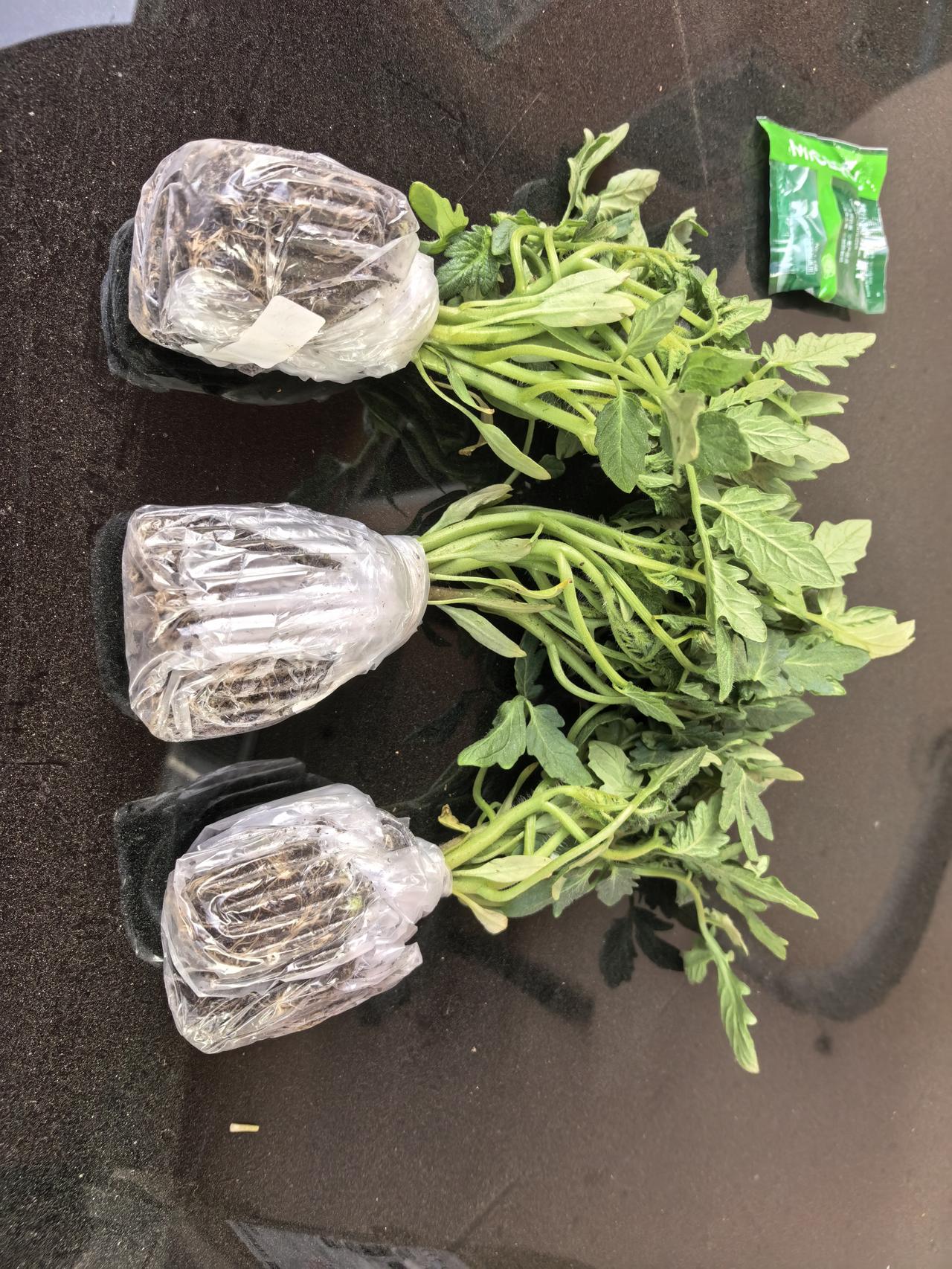 现实生活中的我是多么的马大哈，估计你是想象不到的[捂脸][捂脸][捂脸]

我家