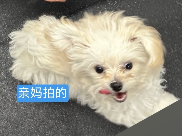 爆笑呀🤣 
