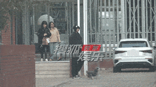 刘宇宁带小狗上班，戴毛线帽萌态十足[锦鲤附体]。 