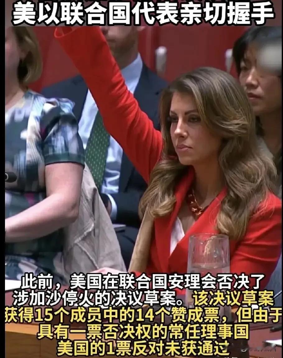 美国是以色列帮凶，而且是地地道道的战争犯幕后推手，对加沙地带人民生命的亵渎！
