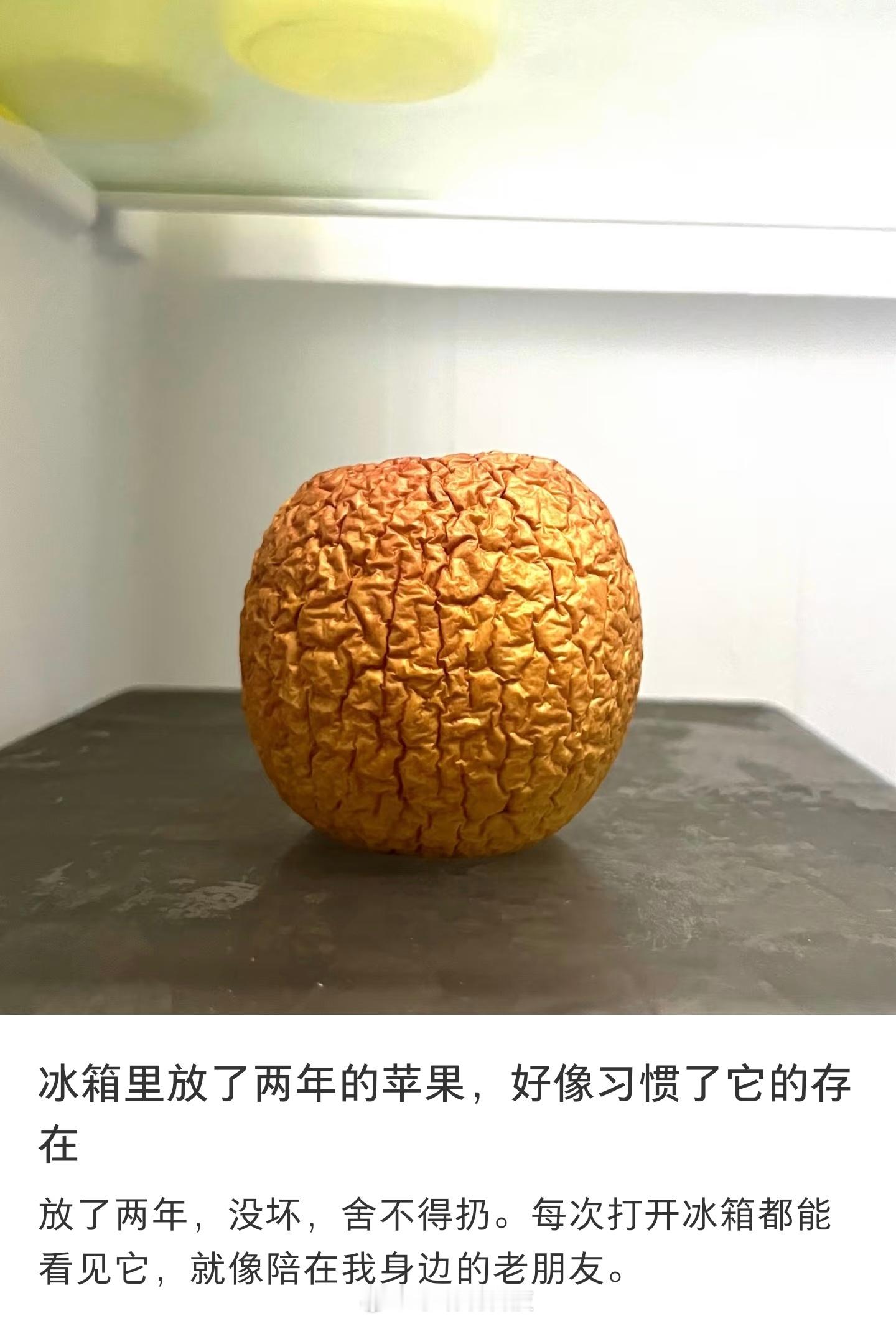 冰箱里放了两年的苹果，以前是水果，现在是文物，感觉再放几年都能写进家族历史