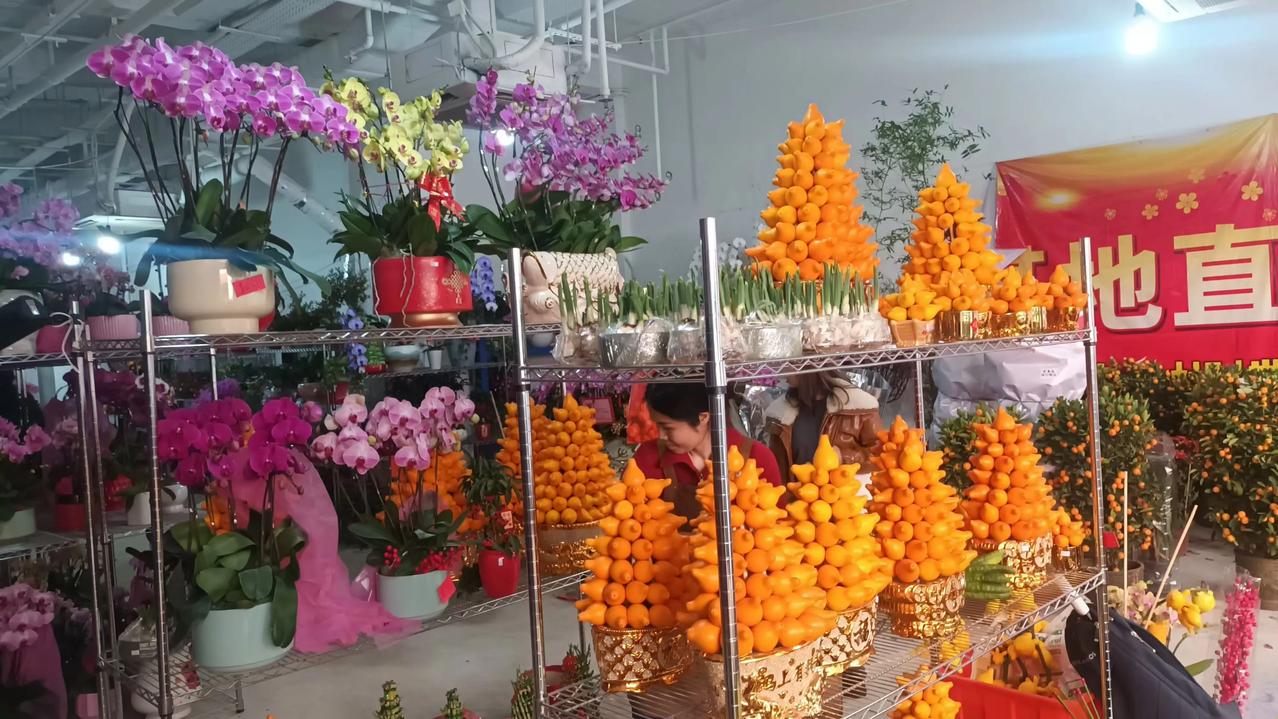 春寒徒峭报春光
​繁花争艳喜迎春
今天立春