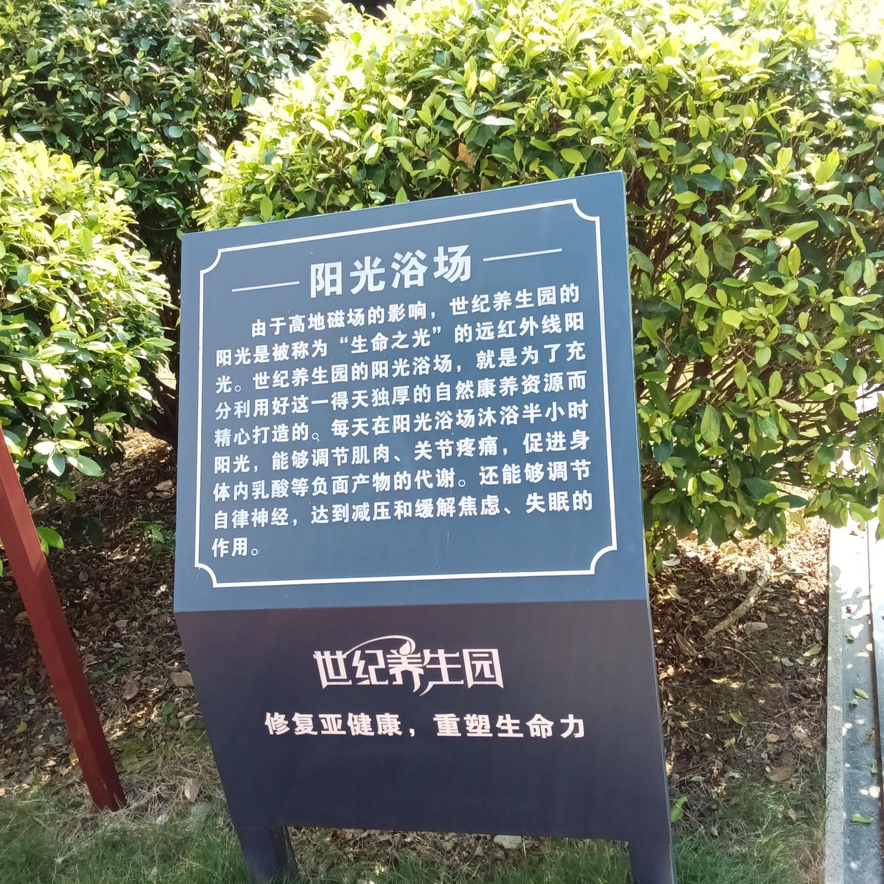 冬日生活打卡季阳光浴。火热进行中。今日的广西巴马阳光充足气温虽然只有十八九度但给