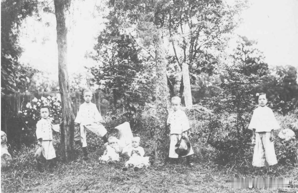 上世纪二十年代，杨振宁（右二）与大家庭中的堂姐和堂兄弟于合肥留影。当时的中国，正