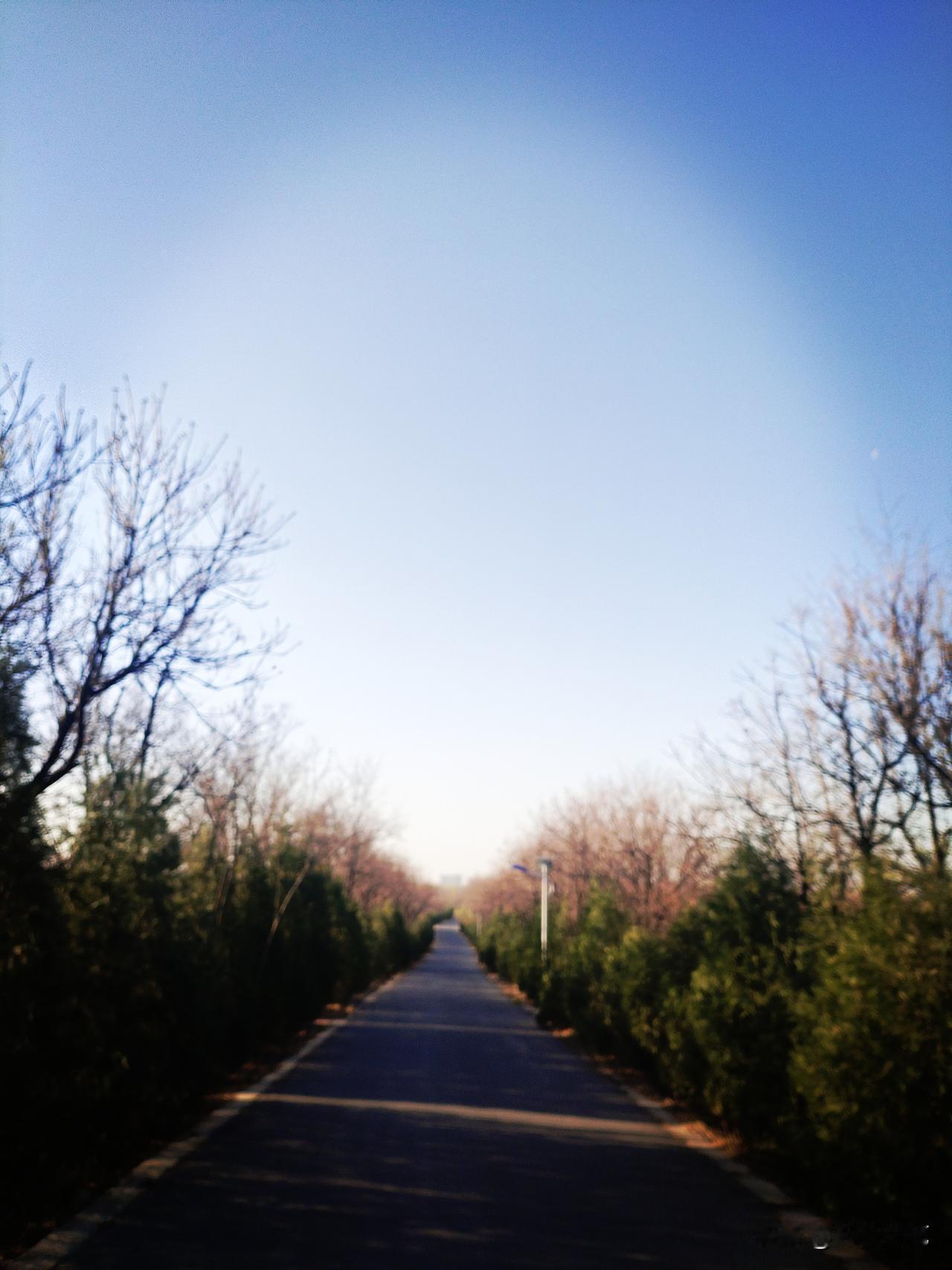 我与我周旋，宁做我