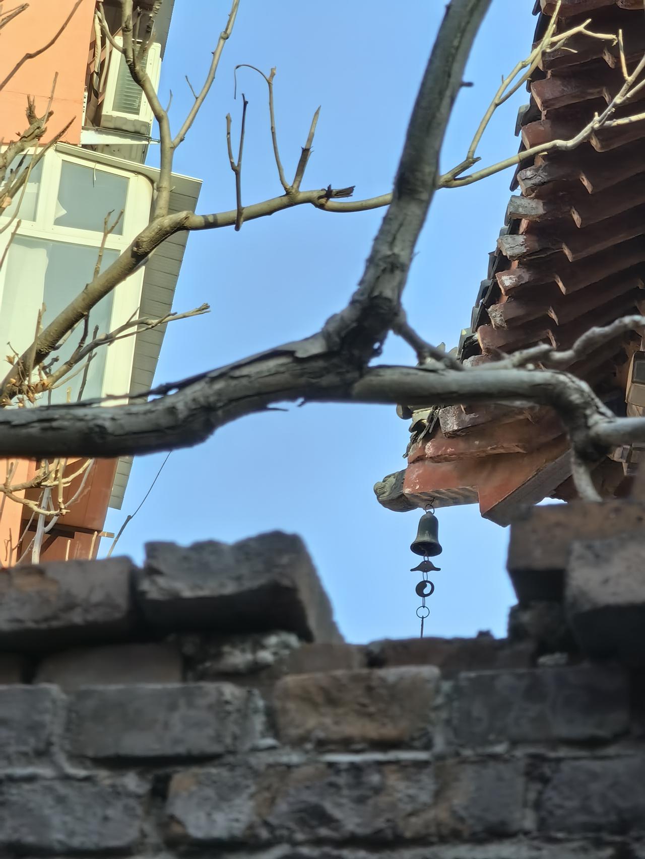 道法自然，道在人间