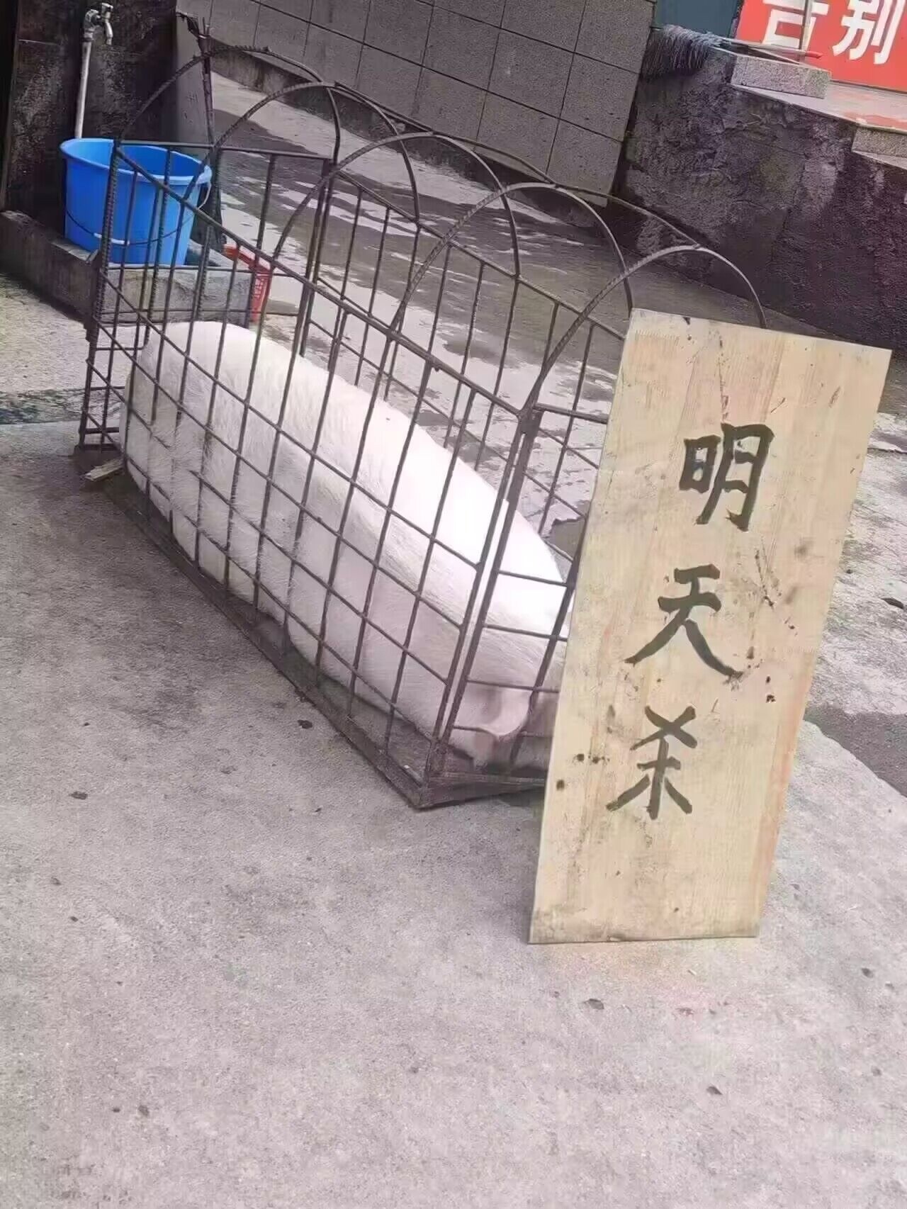 以前的新闻三要素：时效性、真实性、准确性。现在的新闻三要素：断章、取义、搞对立。