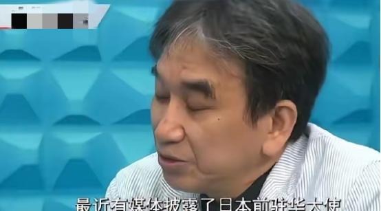 日本前驻华大使垂秀夫说，他在中国待了好几年，知道因为历史恩怨，中国老百姓对日本没