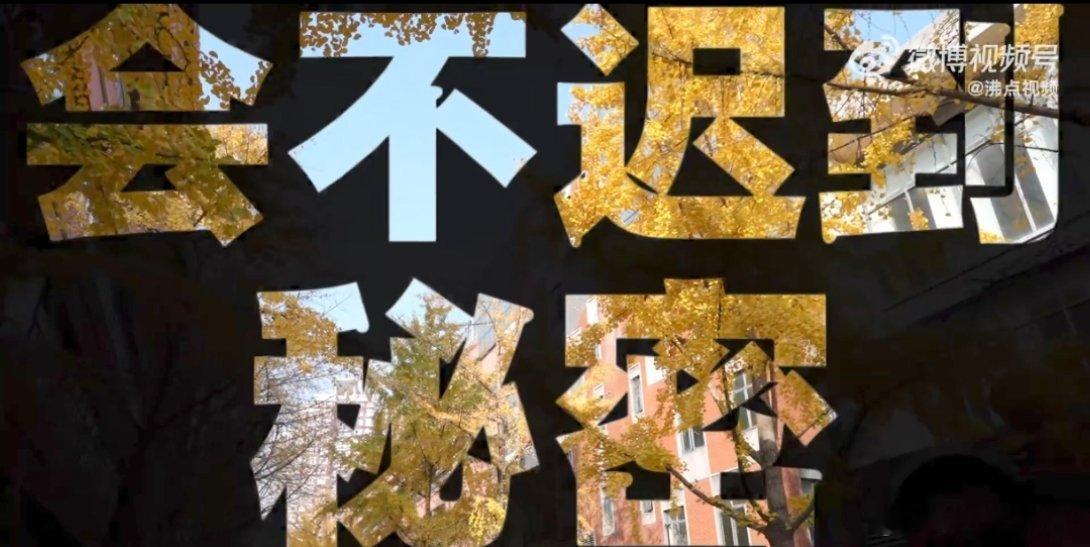 约会不迟到的秘密 谁懂！从前是停车恐惧症十级患者，现在被闺蜜封车库战神，全靠我的