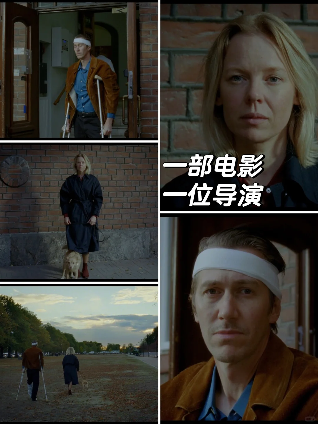 《枯叶》背后的阿基·考里斯马基🔥