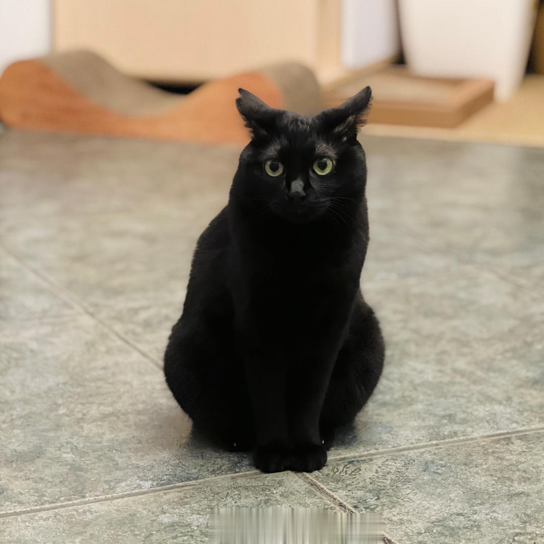 要起飛惹～～#蝦蝦不可以太可愛# ​​​