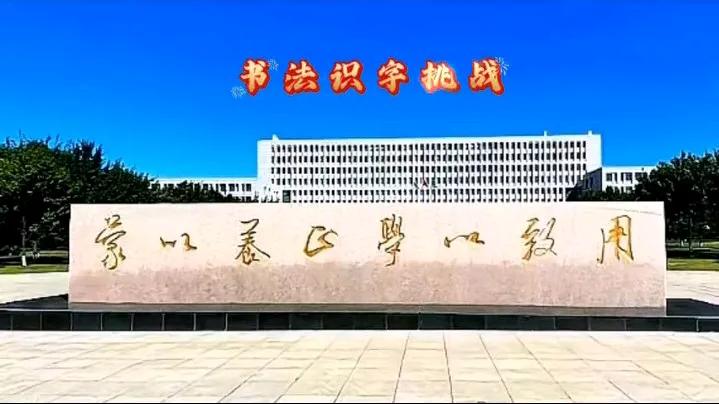 啥字？不知道啊！问这上面写的是啥，瞪了大半天，就看懂最后一个“用”字，其它的字一