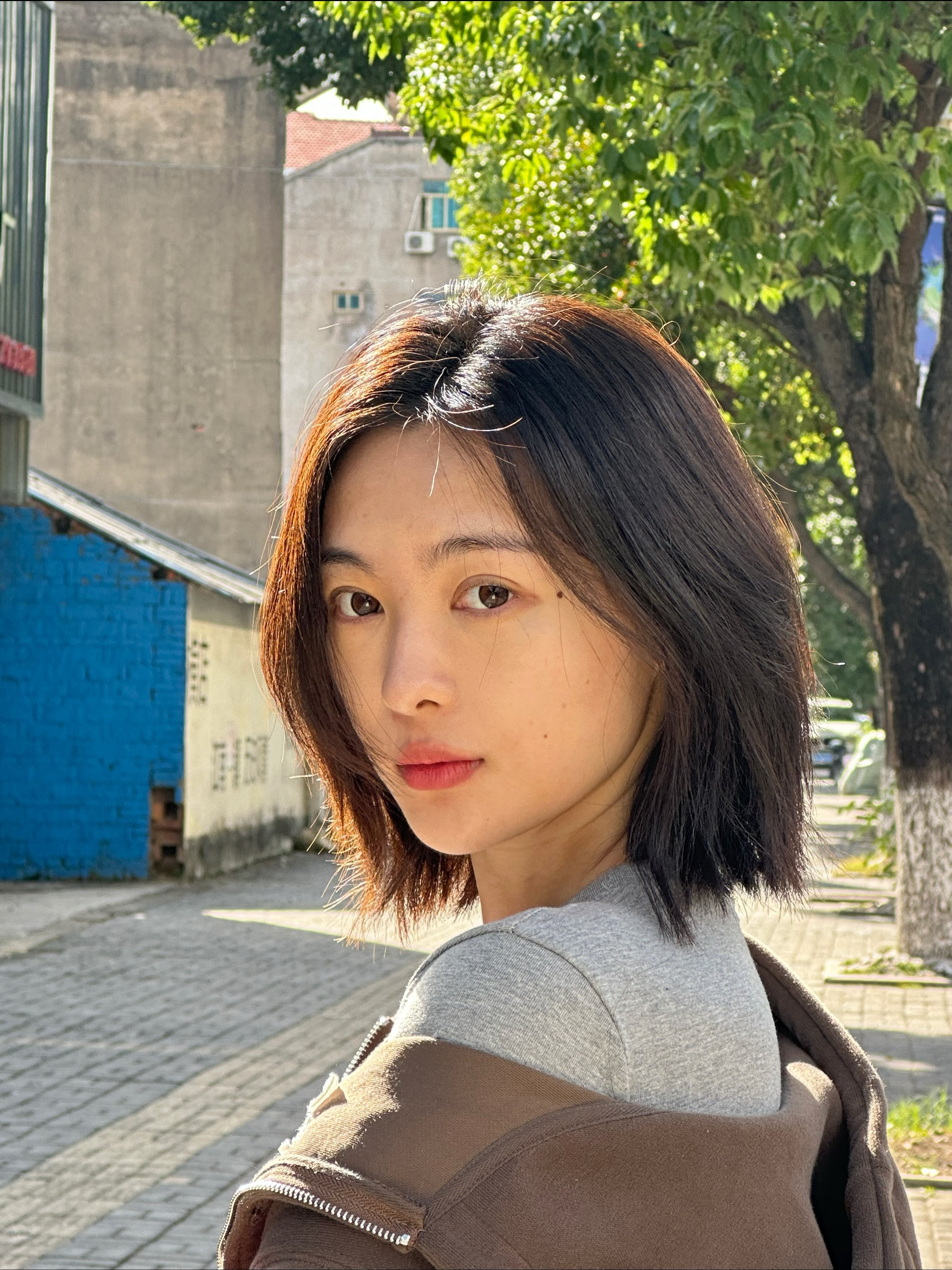 不想捯饬[柯基]日常分享  ​​​