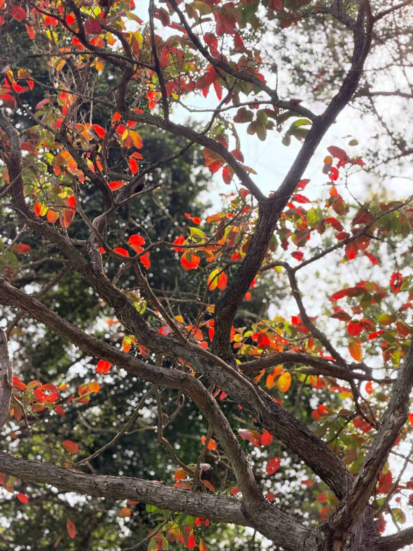 生命中，总有些不经意间遇见值得奔赴！热爱遇见的美好，坚持你所热爱的遇见！为什么我