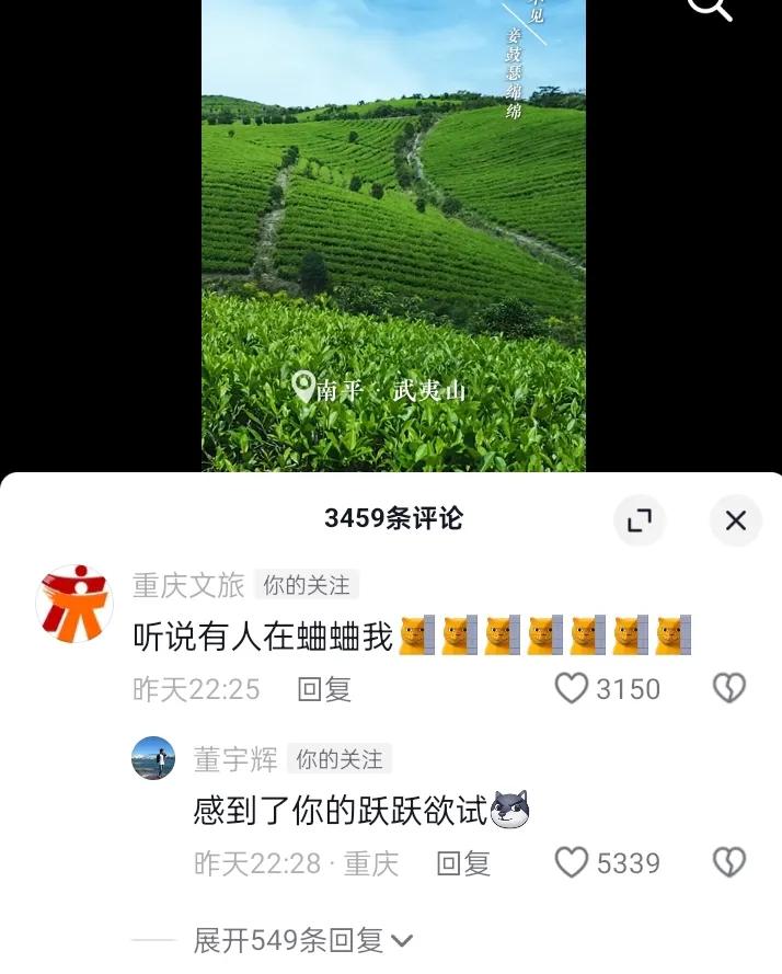 显眼包重庆文旅来到福建文旅评论区
一样的嘚瑟就像在自己家里一样
还主动和福建文旅