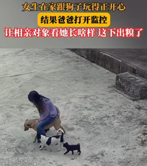 另类相亲方式，却收获意想不到的效果

贵州，一女生在家正骑着狗子玩耍，结果爸爸打