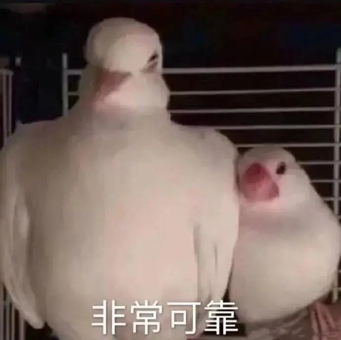 找兼职最怕只知道一个地址，剩下全靠自己研究。现在上支付宝找阿宝，岗位能找，面试能
