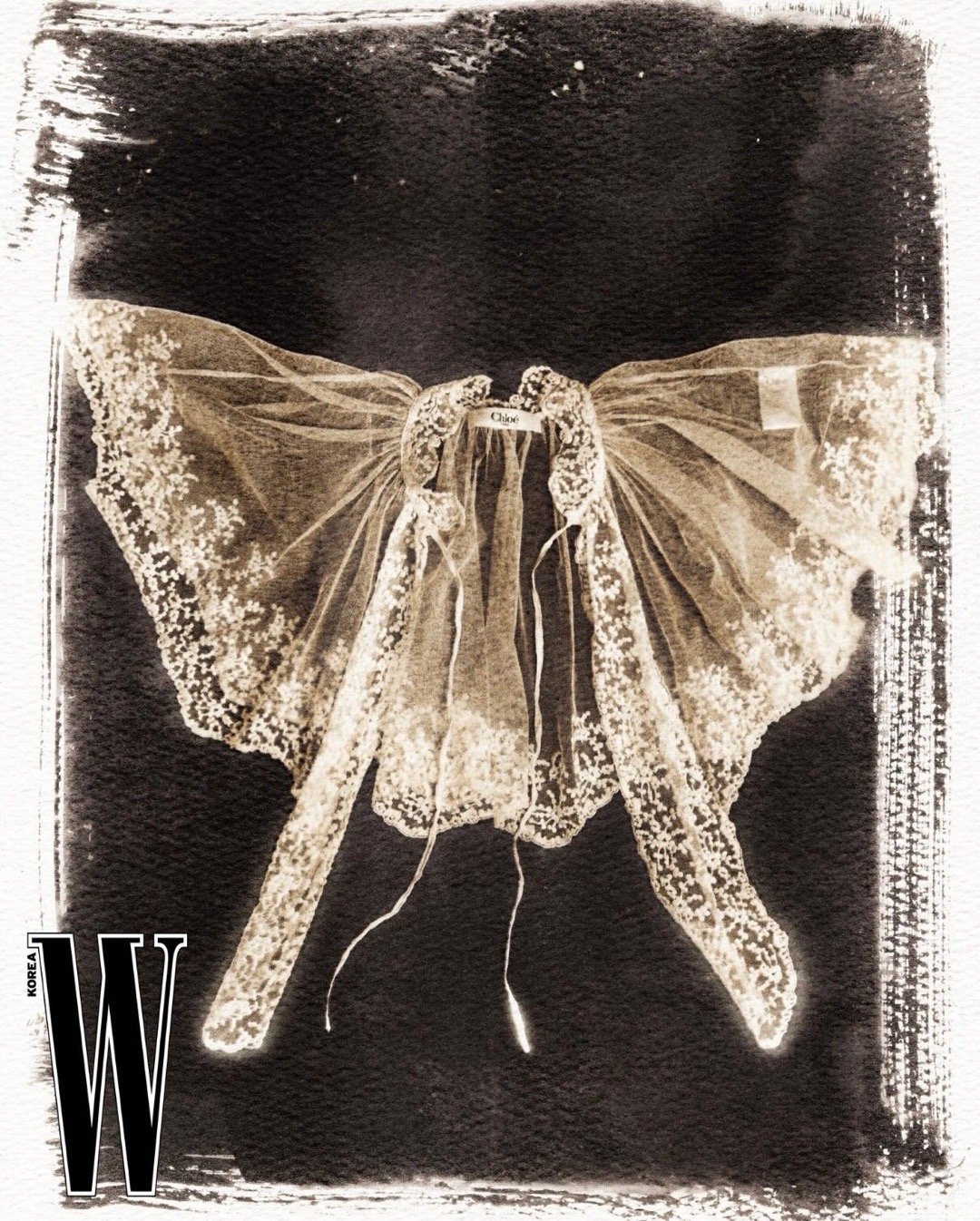 W Korea —— 《Magical Garden》以光绘画的蕾丝幻境 