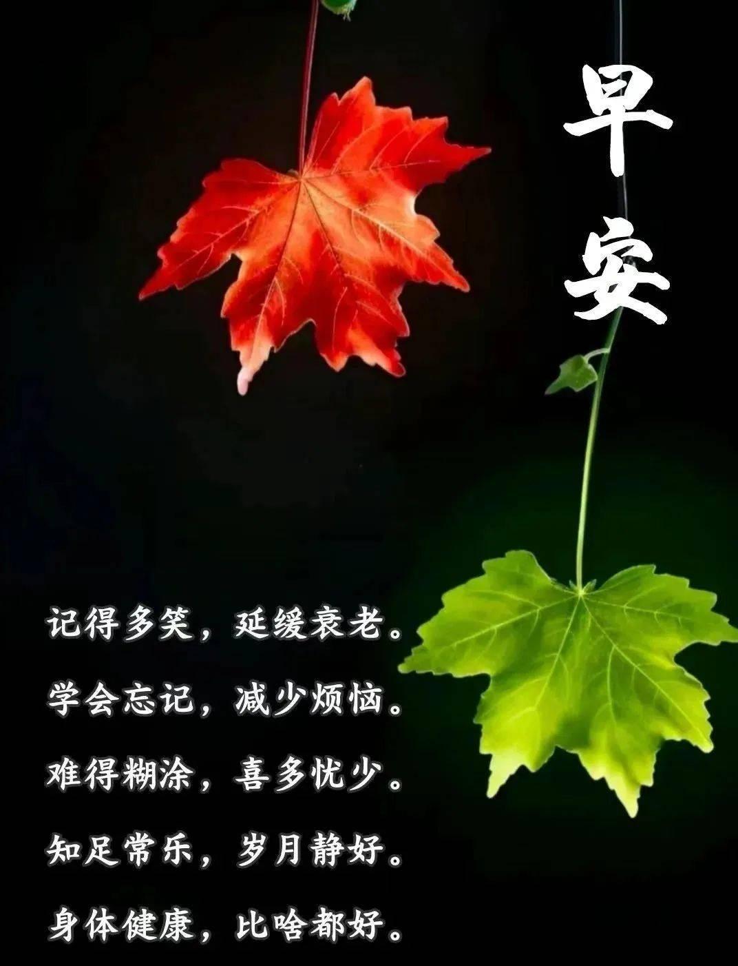 有一种心绪，
总会在每天清晨开启，
成就我们追求希望梦想；
有一种意境，
总会在