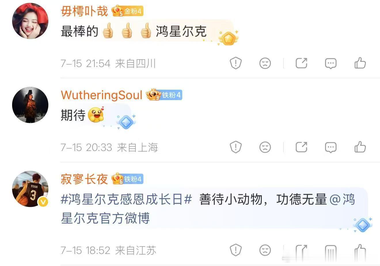鸿星尔克店内收留流浪猫狗太喜欢有温度的国货品牌，鸿星尔克门店接纳流浪猫狗，搭建爱