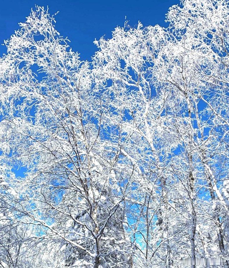 欢乐冰雪旅游季  东北雪谷是一个充满魅力的旅行胜地，雪厚到膝盖，进入雪谷就像步入