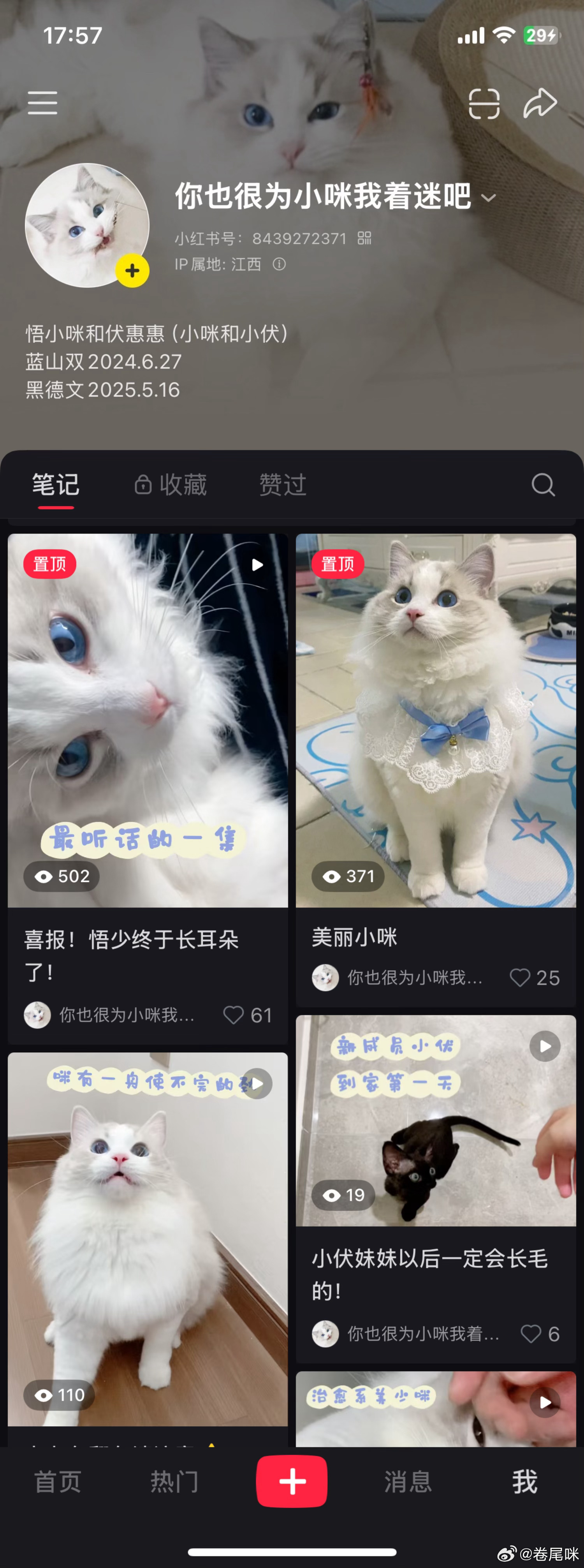 🔝置顶自娱自乐单机养老嗑cp，不处理人际，不参活动（极度社恐不再接家产活动相关